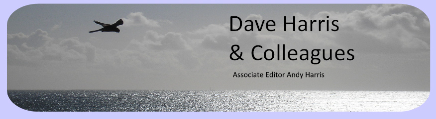 photograph
                      as banner