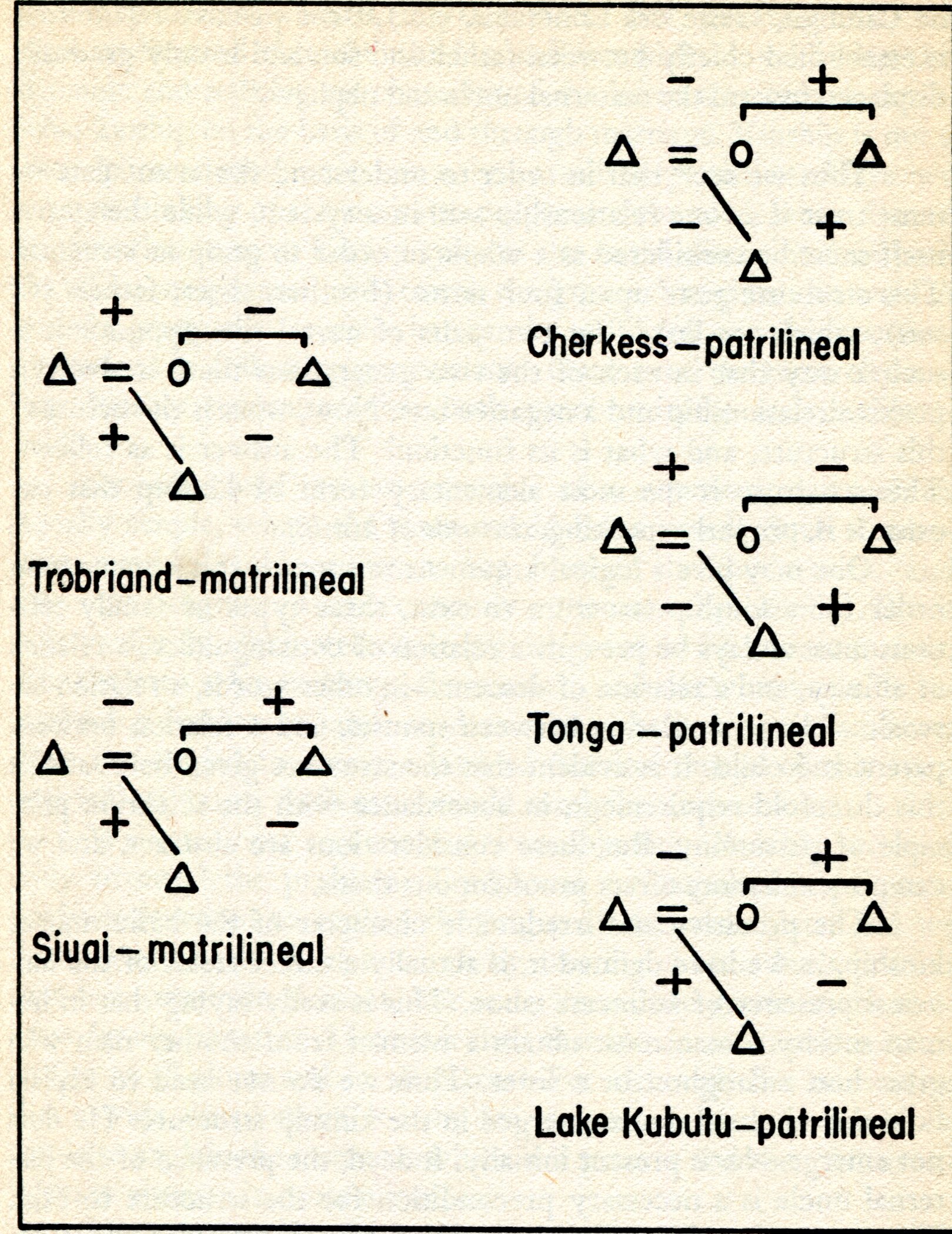 kinshipdiagram